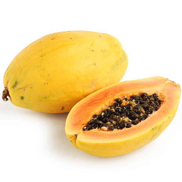 Nadir%20Tür%20Bodur%20GOLDEN%20Papaya%20Fidanı%20,Torbada%20+60%20Cm