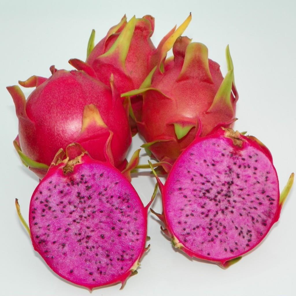 Physical%20Gaffıtı%20Cinsi%20Pitaya%20Ejder%20Meyvesi%20Fidanı