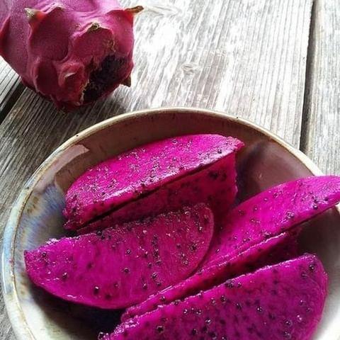 Phılıppınes%20Purple%20(Özel%20Tür)%20Ejder%20Meyvesi%20Pitaya%20Fidanı