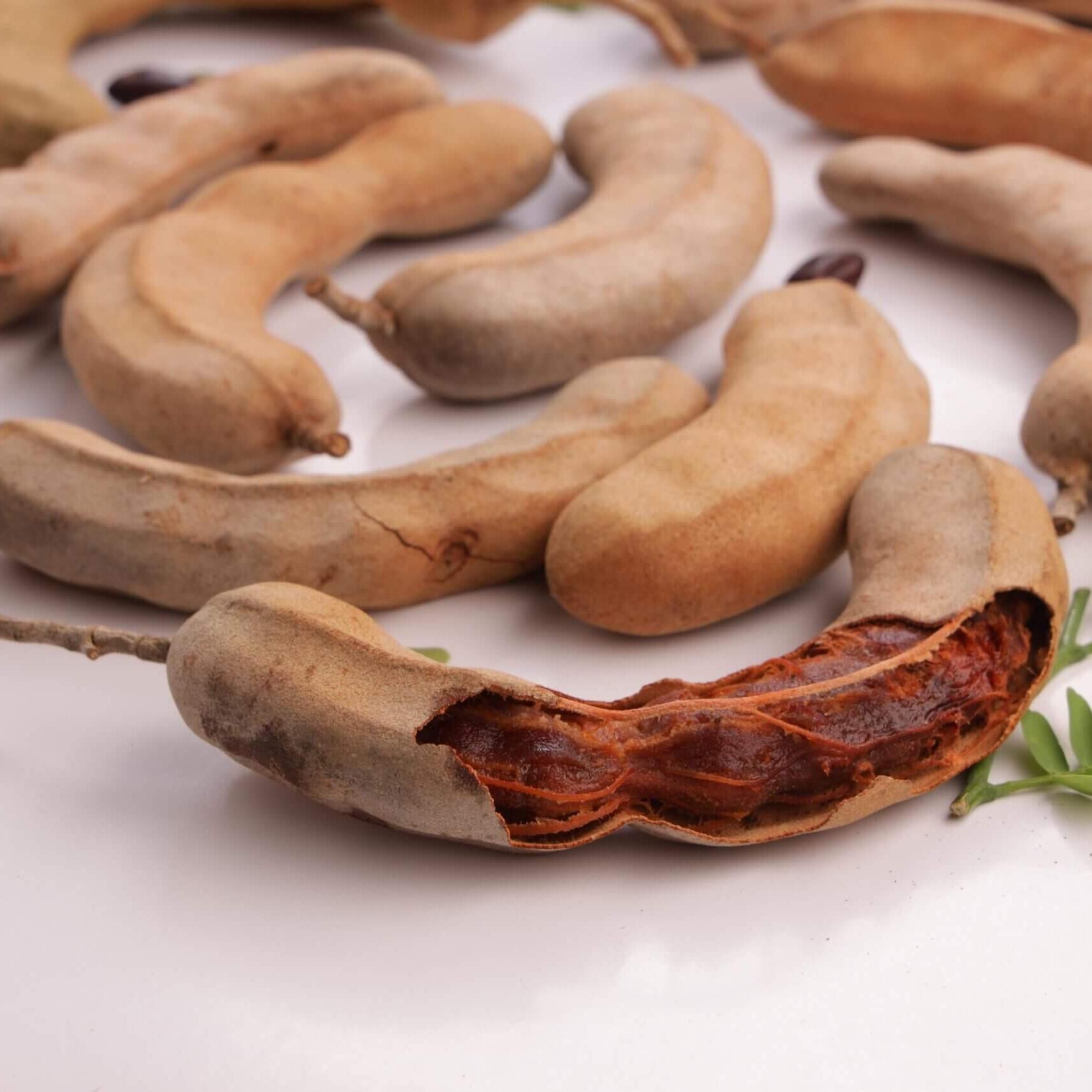 Tüplü%20Tamarind%20Demirhindi%20Fidanı%20(Hint%20Hurması)