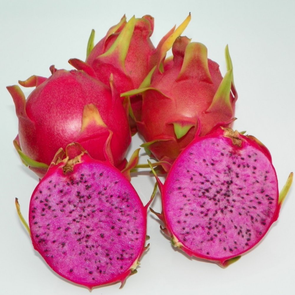 Pitaya-Ejder%20Meyvesi%20Özel%20Tür%20CONDOR,%20Torbada