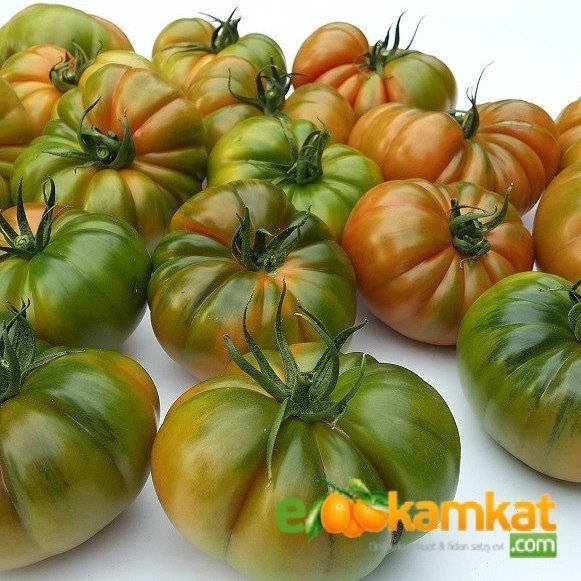 Köy%20Tipi%20Yayla%20Domatesi%20Tohumu%20Paket%205%20gr%20Paket