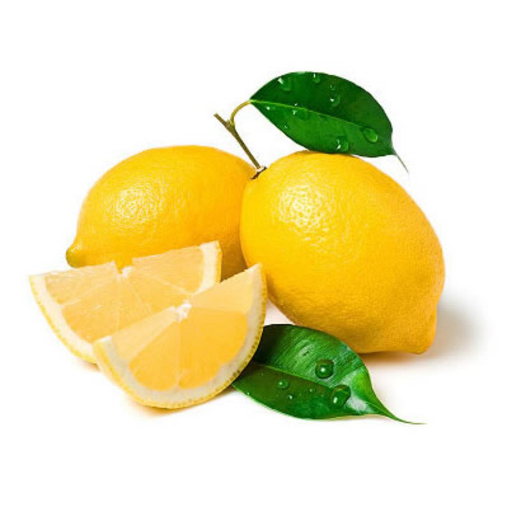 Hediyelik%20Aşılı%20Limon%20Fidanı%20/%20Yediveren